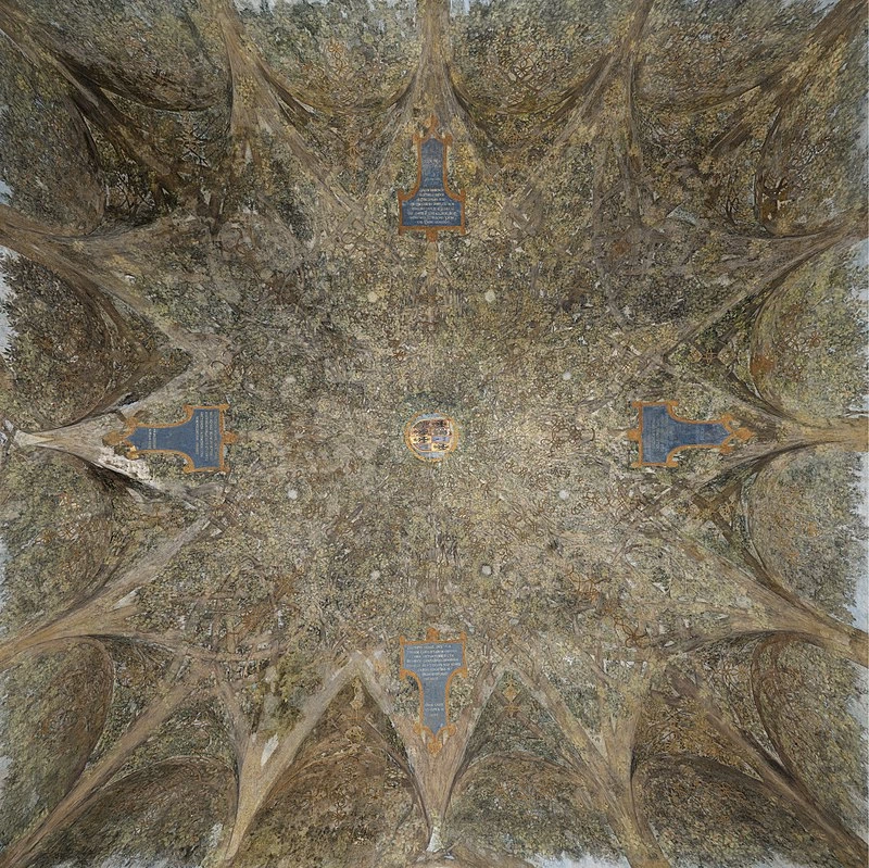 86-La volta della Sala delle Asse-Castello Sforzesco-Milamo